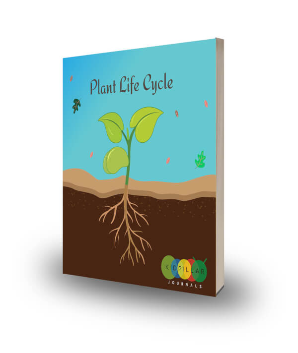 Plant Life Cycle STEM Journals - Life cycles & Stages | Significance