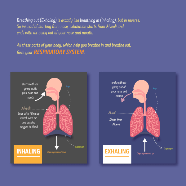 STEM Journals on How do we Breathe? - Respiratory System | Lungs for kids