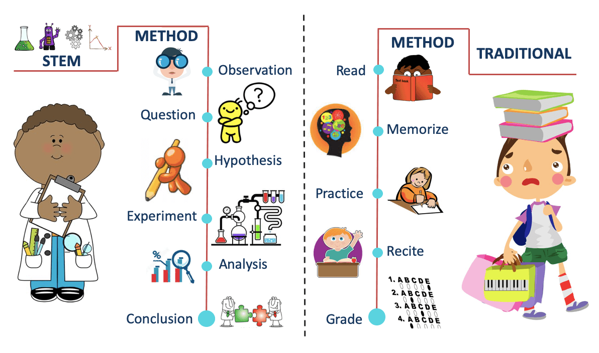 stem meaning science