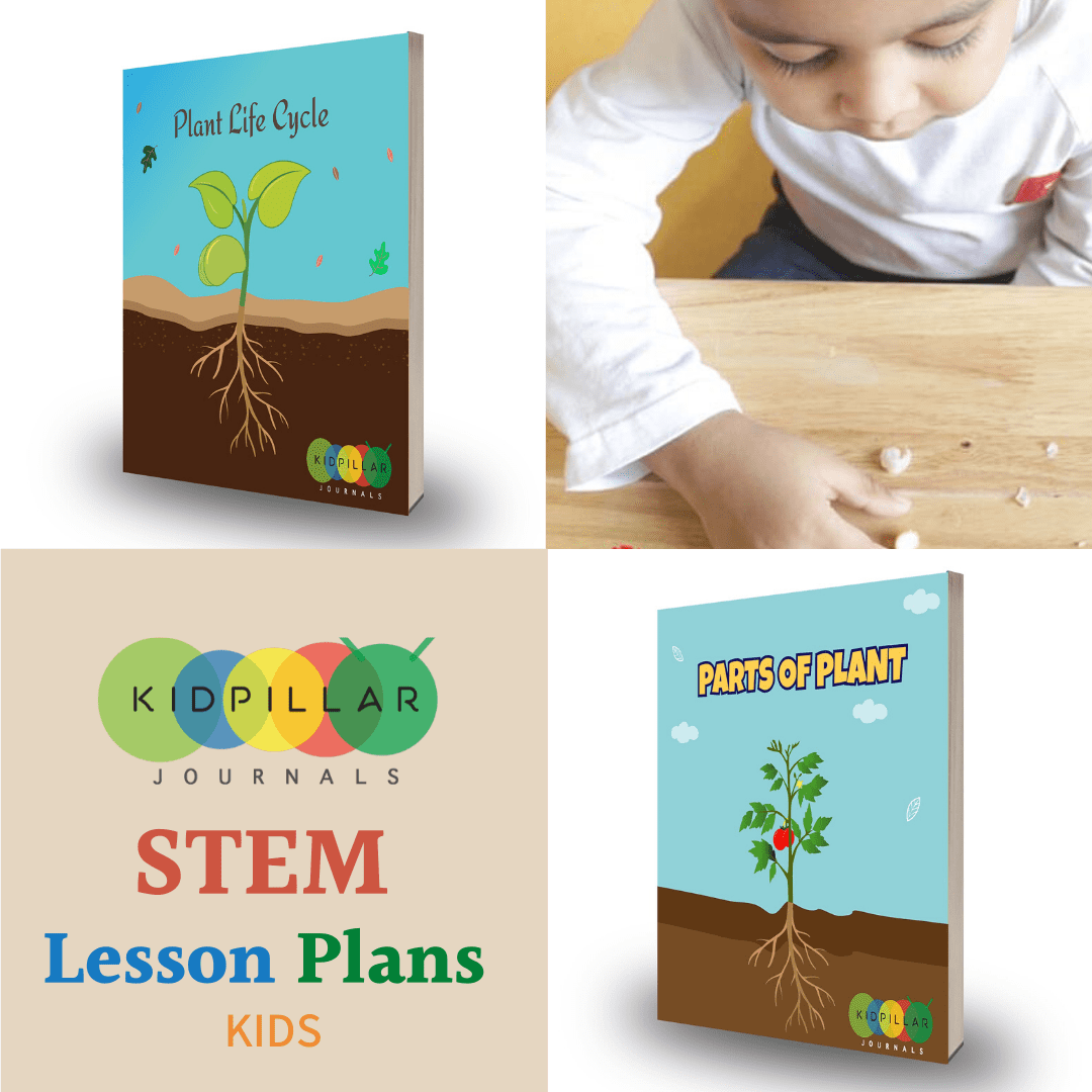 STEM Books for Kids