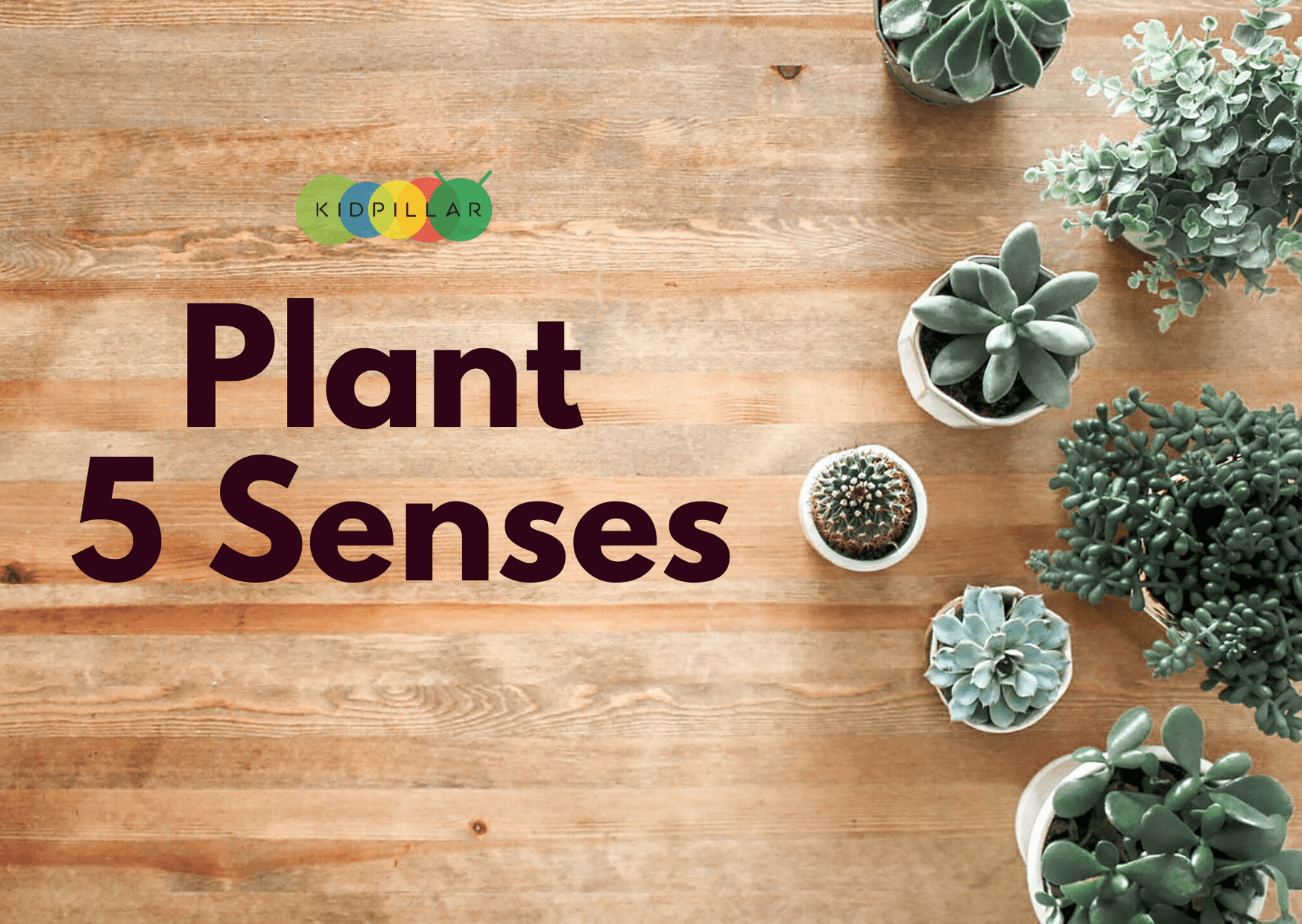 10 Best Plant Science Activities For Kids Kidpillar