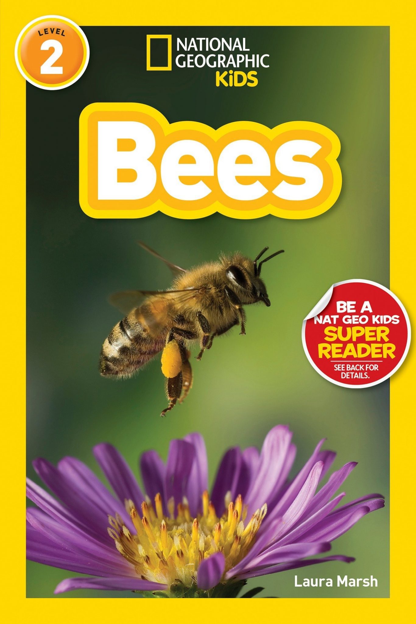 Bee Books for Kids