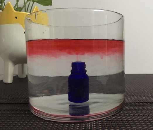 water science experiment for kids