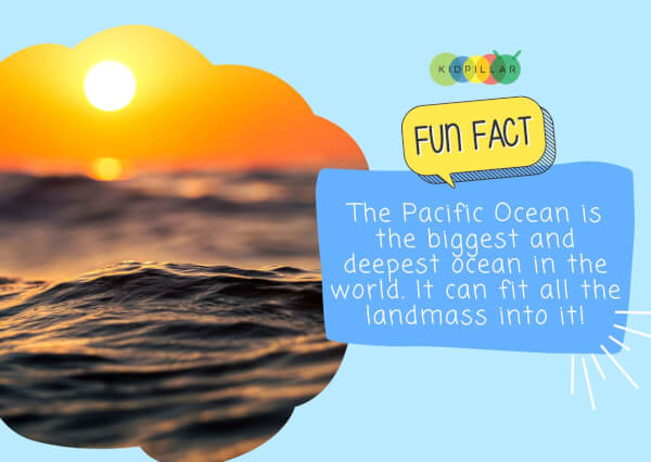 229 Fun Facts For Kids - Weird But True!