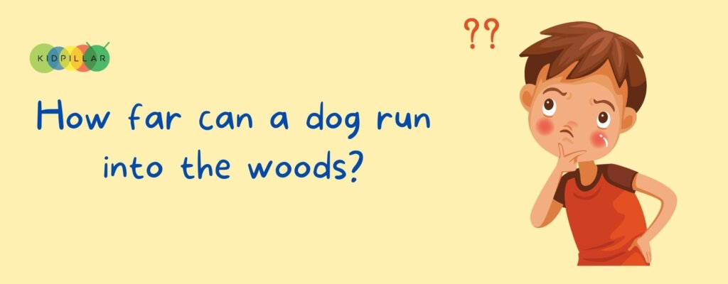 Road trip games for kids & adults